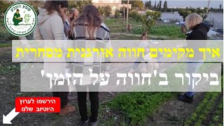 איך מקימים גינה אורגנית מסחרית- ביקור ב\