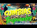 CUMBIAS EXITOS PARA BAILAR TODA LA NOCHE💃🕺LO MAS NUEVO CUMBIAS MIX LOS KARKIKS, FITO OLIVARES...