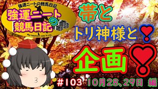 強運ニートの競馬日記＃103、10月28、29日編