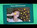 Create An Image Slider Using HTML & CSS Only