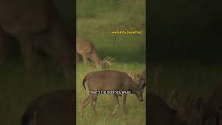 Ever seen a buck like THIS?!