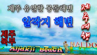 [제주도 여행] 알작지해변/제주 유일한 몽돌해변/제주 북부여행 /제주올래길17코스 /제주 포토스팟/제주도 가볼만한곳/제주올래길17코스/trip in Korea/韓国旅行[STV채널]