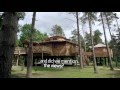 Treehouses at Center Parcs