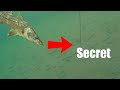 This Is The Secret To Catching Fish Anywhere (Saltwater Fishing Florida)