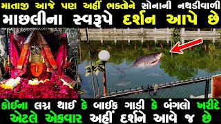 માતાજી આજે પણ સોનાની નથળીવાળી માછલીના સ્વરૂપે અહીં દર્શન આપે છે