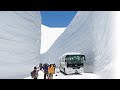 Snow Wall in Tateyama, Shirakawago & Hida Takayama 2day Tour