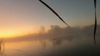 2024 Youth Waterfowl Weekend 10 minute limit(Perfect Decoy Spread)