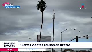 Fuertes vientos causan destrozos en Baja California | Noticias con Crystal Mendivil