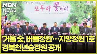 '거울 숲, 버들정원'…지방정원 1호 경북천년숲정원 공개 [전국네트워크]