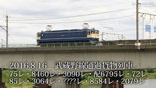 2016.8.16　武蔵野線通過貨物列車　75レ・8460レ・3090レ・配6795レ・72レ・85レ・3064レ・????レ・8584レ・2079レ