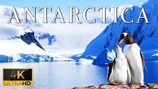 FLYING OVER ANTARCTICA (4K UHD) - Calm Music With Stunning Beautiful Nature (4K Video Ultra HD)