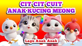 CIT CIT CUIT - ANAK KUCING MEONG MEONG - Lagu Anak Anak - Lagu Anak Balita / Nine Kids