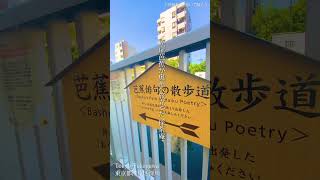 芭蕉俳句の散歩道を。 歩いて帰ろう/斉藤和義[松尾芭蕉]