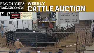 1/30/2024 - Producers Livestock Auction Company - Cattle Auction