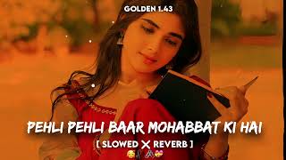 Pehli Pehli Baar Mohabbat Ki Hai [ Slowed And Reverb ] Song | Kumar S Alka Y | Old Is Gold Song