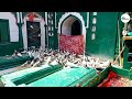 kaliyar sharif dargah sabir piya karamat u0026 history roorkee uttarakhand