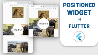 Positioned Widget Flutter Tutorial
