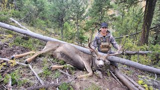 BC Mule Deer Hunting 2024 - Old Warrior