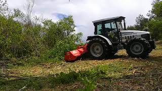 Lamborghini premium 850 and maschio flail mower part 2