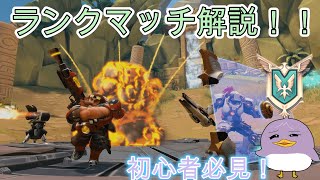 パラディンズランクマッチ解説！【パラディンズ/paladins】