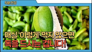 매실의 놀라운 효능과 주의점 (고르는법, 손질법, 보관법 포함)