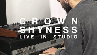 Mattia Cupelli - CROWN SHYNESS | Live In Studio 2020