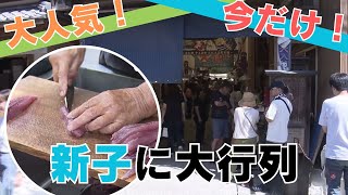 「3連休最終日！久礼・大正町市場では旬の魚・メジカの新子に長蛇の列！」2024/9/23放送