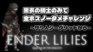 【ENDER LILIES】黒衣の騎士のみで全ボスノーダメチャレンジ！！ ---守り人シーグリッドから---