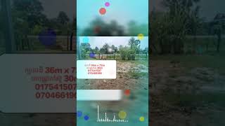 Land for sale (ដីលក់ខេត្តកំពង់ឆ្នាំង)