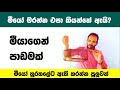 මීයාගෙන් වැදගත් පාඩමක් | An important lesson from the Mouse Rat | Uthsuka Rathnayake