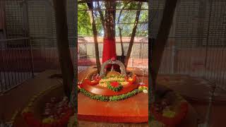 Sadasiva brahmendra Dec 27/24 pooja