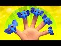 Elephant Finger Family | Kids Songs & Nursery Rhymes | Kindergarten Cartoons by Kids Baby Club