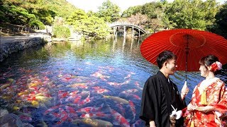 Ritsurin Garden in autumn, Takamatsu, Japan 高松栗林公園之秋