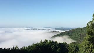 雲海　岡山高梁市備中松山城