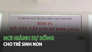 Nơi giành Sự Sống cho Trẻ Sinh Non| VTC14