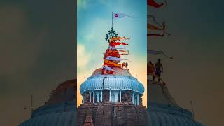 শুভ রথযাত্রা#shots #rathyatra #jaijagannath #puri #purijagannadh #viral #swagatavlogs