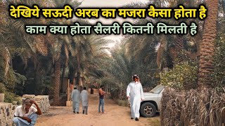 देखिये सऊदी अरब में मजरा कैसा होता Saudi Arabia Majra Khajoor Ki Baag || Khan Youtuber