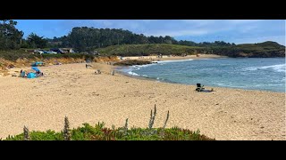 Bean Hollow Beach, California Trail (8 Dec 2024)