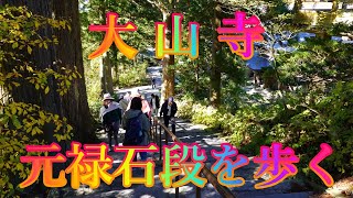 #秋の紅葉 11月9日 土曜 晴れ 北風の寒い朝 大山寺 元禄石段を歩く 日本 鳥取県西伯郡大山町大山 豪円湯院 @WalkingYoshi