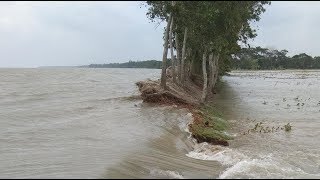 বেড়িবাঁধ ভেঙে তলিয়ে গেছে নিম্নাঞ্চল | পানির নিচে শত-শত ঘর-বাড়ি | Cyclone Fani | Somoy TV