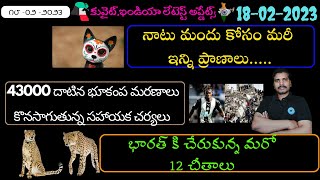 కువైట్ ఇండియా ముఖ్యాంశాలు //kuwait cats in America //cheetah in india//kuwait family visa//kuwait