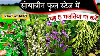 सोयाबीन फुल अवस्था में यह 5 गलती ना करे | Soybean phool avastha me savdhani, Soybean flowering Stage