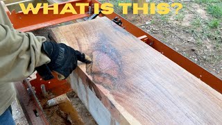 Sawing Red Oak with the Woodmizer LX50 Super