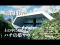 【The Hive】土の中でととのうハチの巣サウナ！？/創業者 前田 大介様インタビュー！【Healthian-wood】