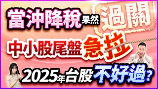 【當沖降稅果然過關 中小股尾盤急拉 2025年 台股不好過?】2024.12.31(字幕版)