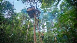 How We Built 18m Survival Tree house, Jungle Survival Treehouse Bushcrafts Building 2023