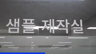 Automated Paper Packaging Factory in Korea Where Machines Work Miracles