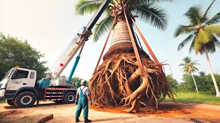 Mobilizing Giant 72,000 Pound Tree Stump Excavator: Transform Damaged Tree Stumps Beyond Imagination