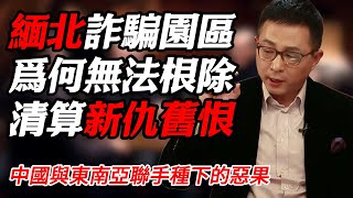 緬甸詐騙園區爲何無法根除？中國與東南亞地區新仇舊恨種下的惡果#纪实 #时间 #經濟 #窦文涛 #历史 #圆桌派  #文化 #聊天 #川普 #中美关系 #推薦 #熱門