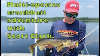 Scott Clark \u0026 Italo Labignan multi-species adventure.